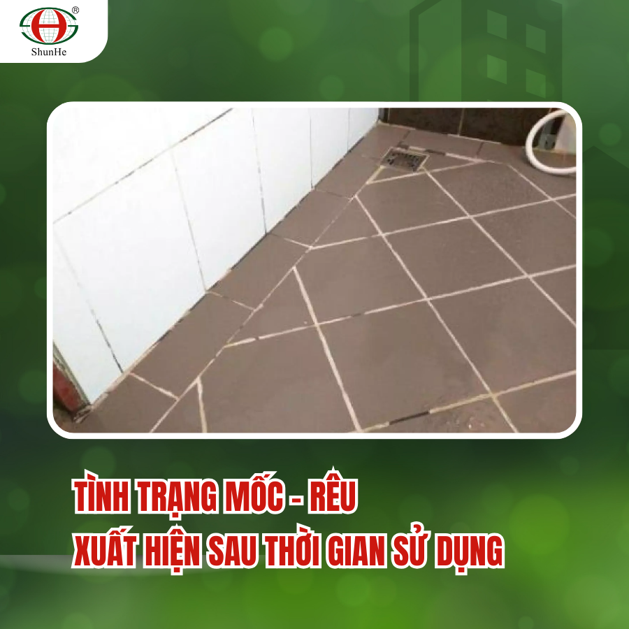 Nấm mốc và rêu không chỉ gây mất thẩm mỹ mà còn tiềm ẩn nhiều nguy cơ về sức khỏe