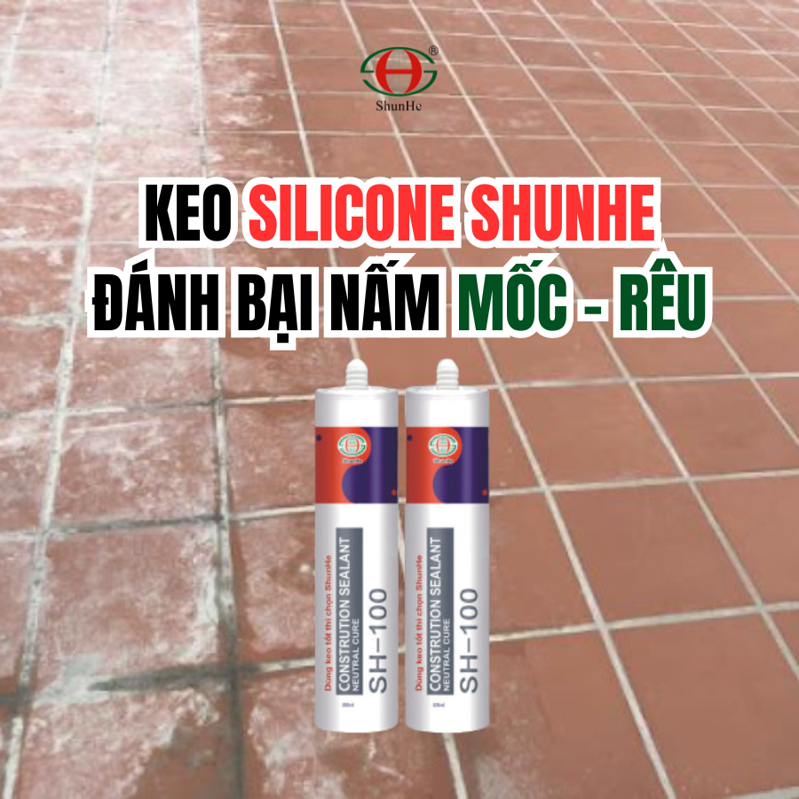 Keo Silicone Shunhe - Tạo nên lớp bảo vệ bền vững, loại bỏ điều kiện sinh trưởng của nấm mốc và rêu